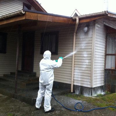 IMG 1972 - copia (Medium)